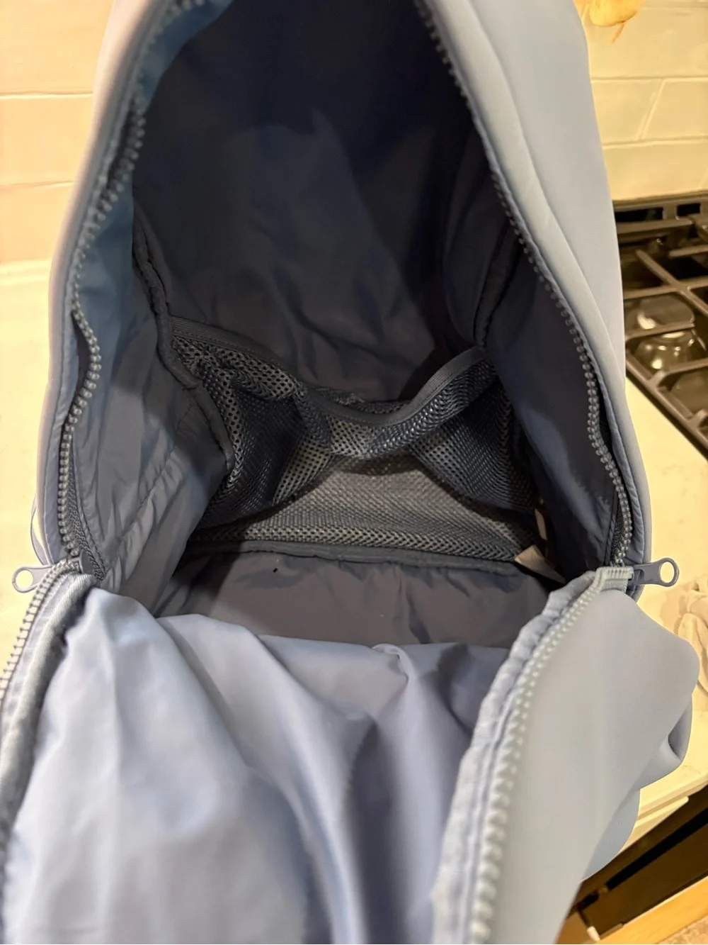 Fabletics Blue Everyday Backpack